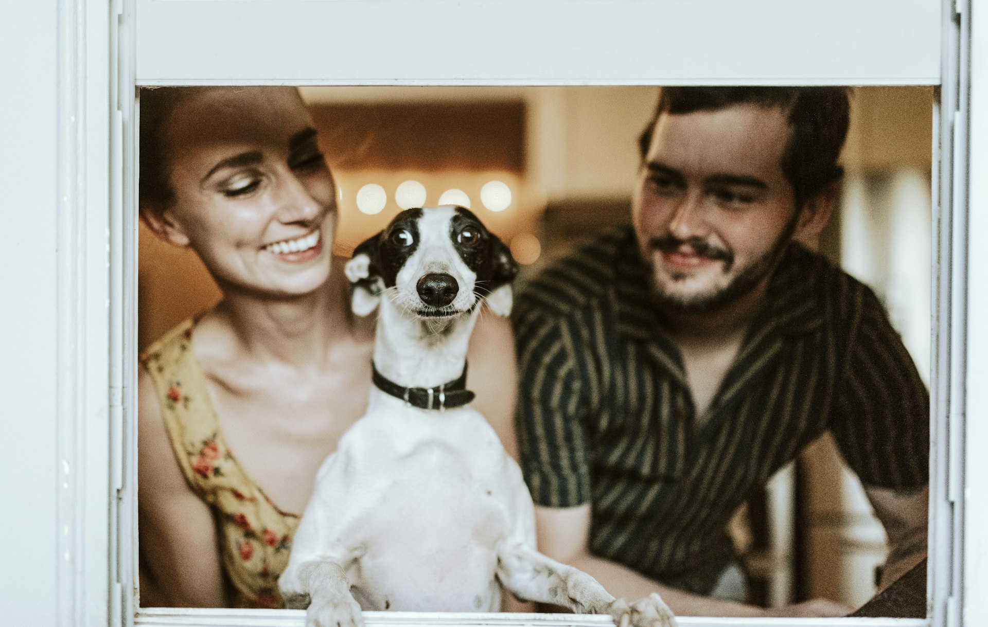 Happy dog